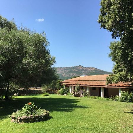 Agriturismo Su Pirastru Sa Castanza Exterior foto