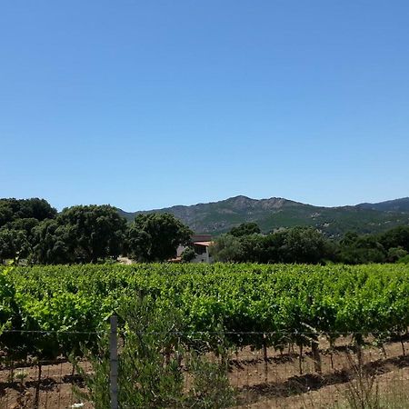Agriturismo Su Pirastru Sa Castanza Exterior foto