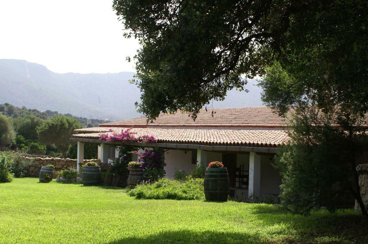 Agriturismo Su Pirastru Sa Castanza Exterior foto